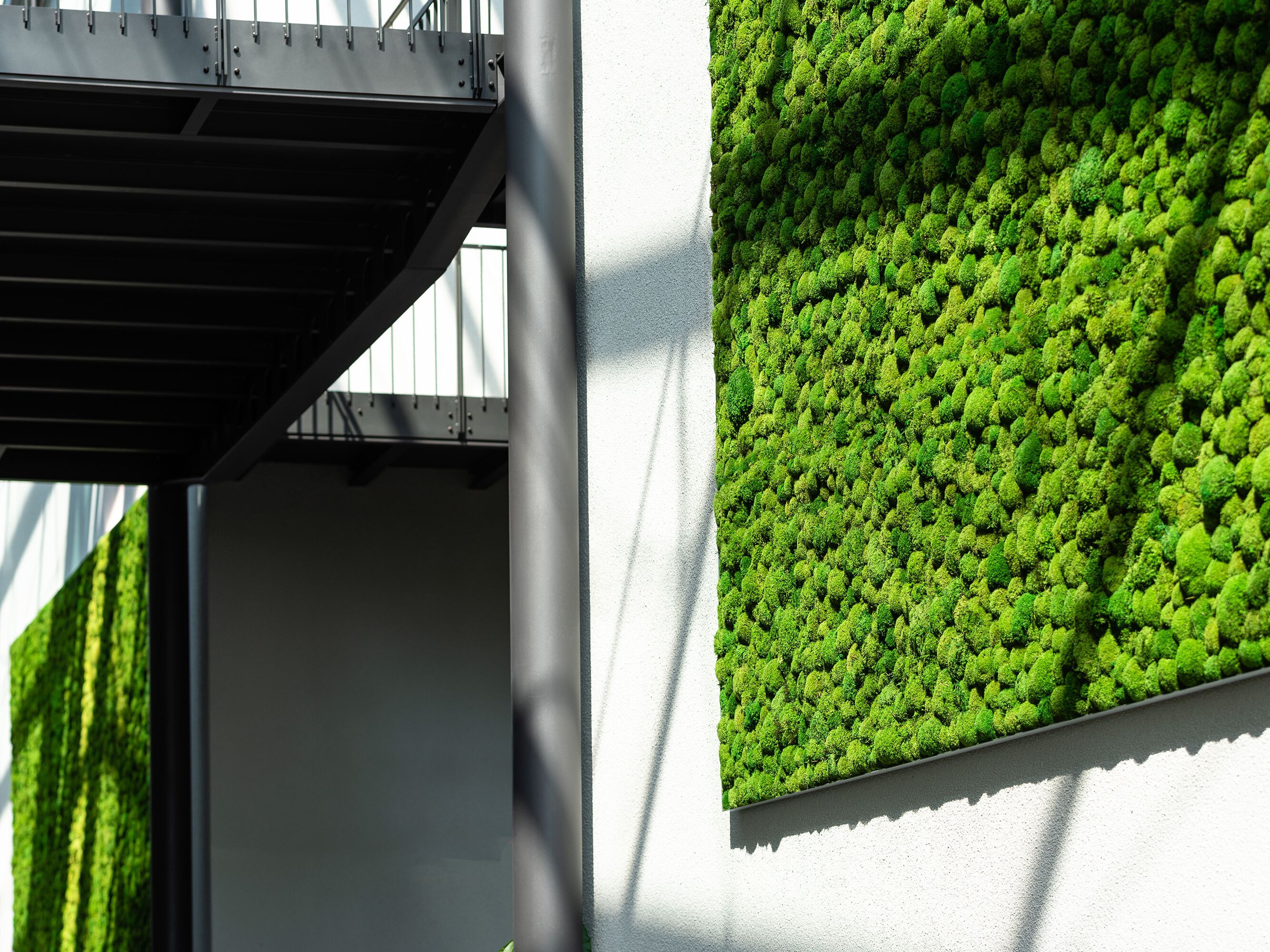 Растительная стена из мха Freund GmbH ARCH-00023492 - Вид №5