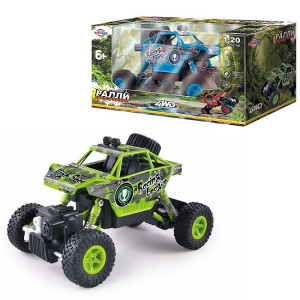 DS-2004 Ралли-внедорожник 4х4, масштаб 1:20, USB-зарядка Wincars