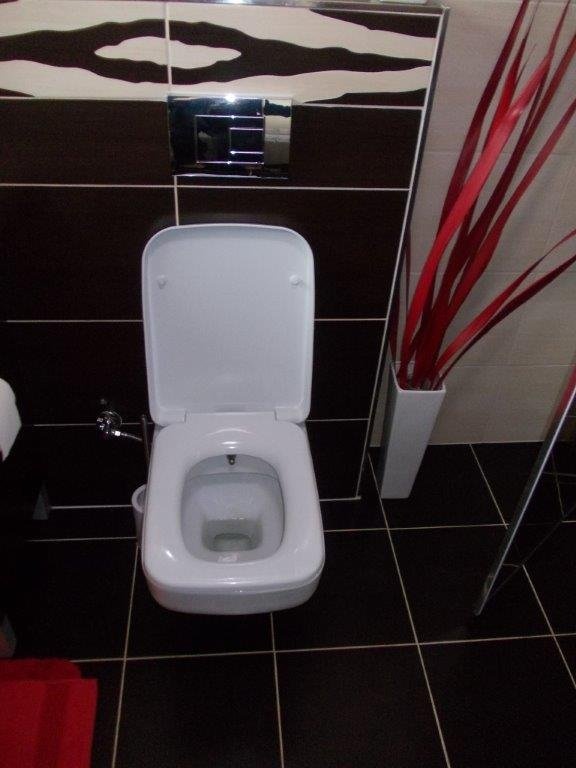 SP320-00CB00E-0000 SPHINX Унитаз подвесной с биде Creavit Sphinx  - Вид №3