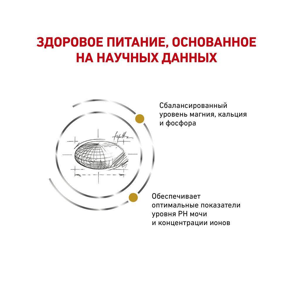 Т0023161 Корм для кошек Vet Diet Urinary S/O LP34 при мочекаменной болезни, птица сух. 3,5кг ROYAL CANIN  - Вид №3