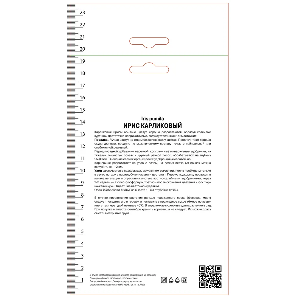 Ирис карликовый Вест Стар ПОИСК STLM-2005986