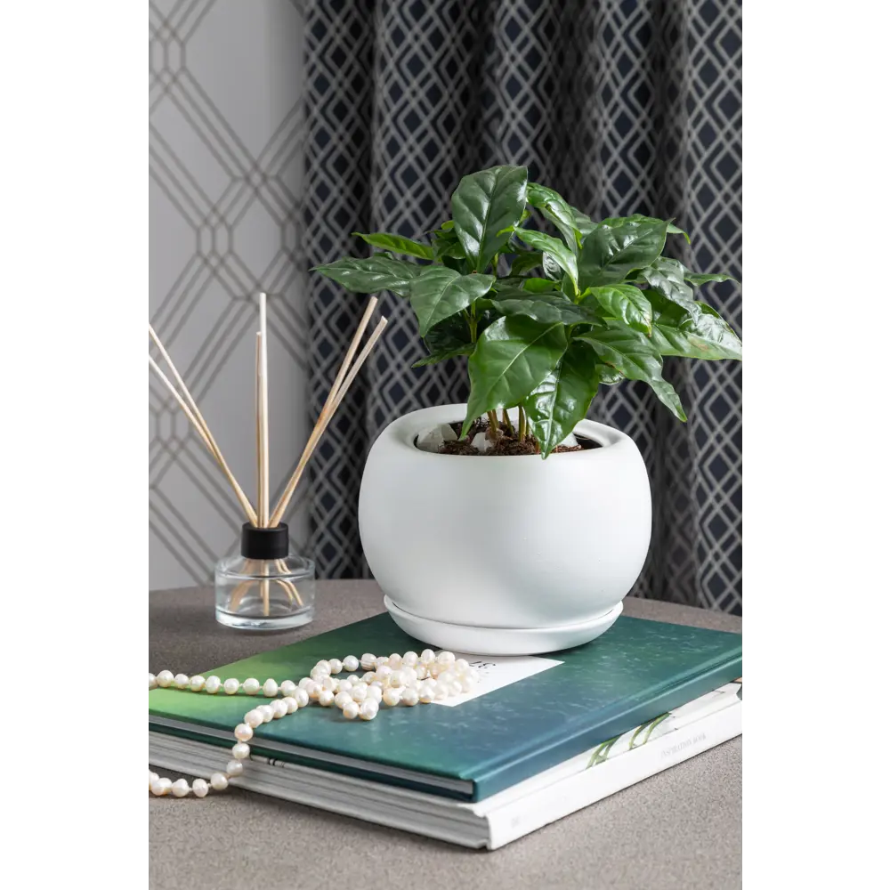 Керамический горшок Santreyd «Адель» для комнатных растений 81932592 STLM-0014179 - Вид №3