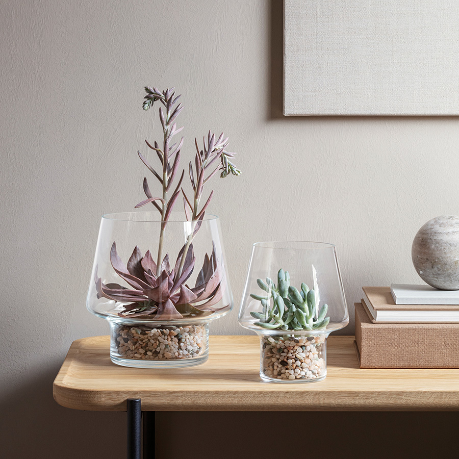 568187 Ваза для суккулентов, D15 см Eva Solo  - Вид №2