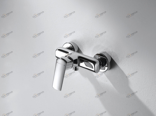 Смеситель для ванной комнаты для душа REAL F9121179CP-01 bravat