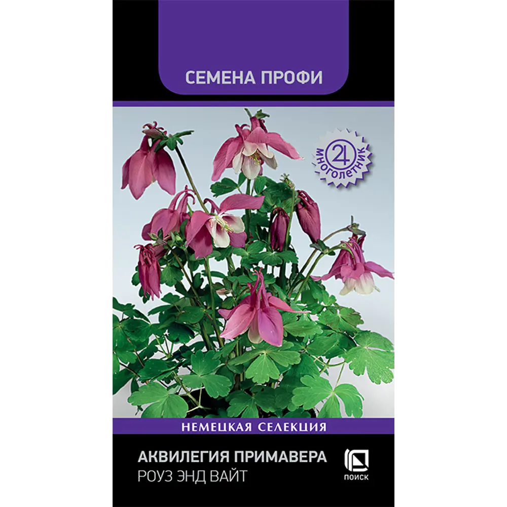 Аквилегия Примавера Роуз энд Вайт от ПОИСК - изящный многолетник для сада 89401276 STLM-1572221