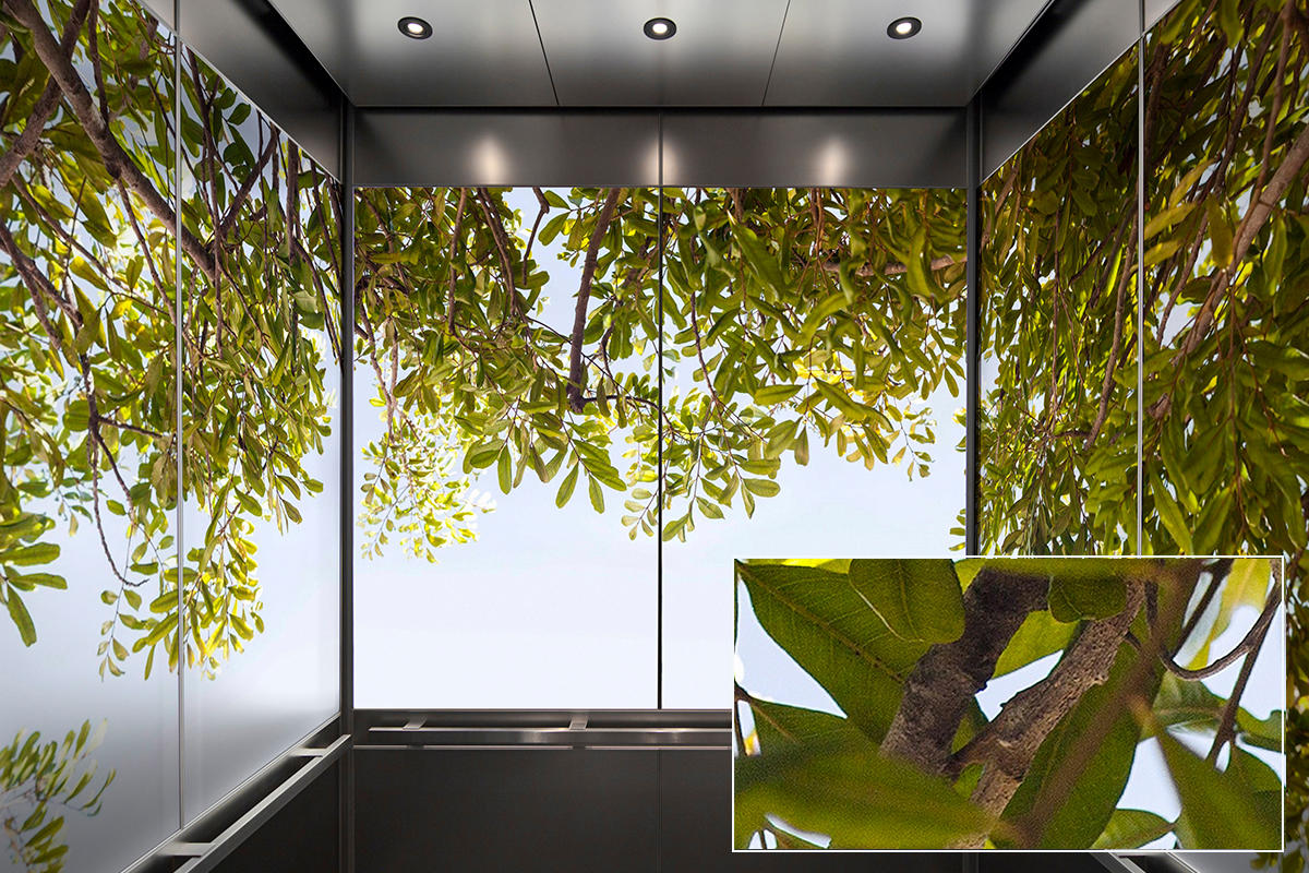 FSRT378 Бокал Vivispectra zoom с прослойками цитрусовых, романеско и капусты Forms-surfaces  - Вид №17