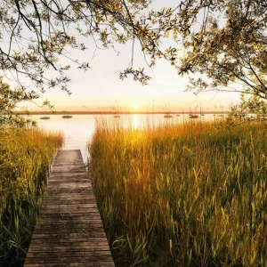 XXL4-052-Lakeside Фотообои Komar Into Illusions Edition 2 2.48х3.68 м