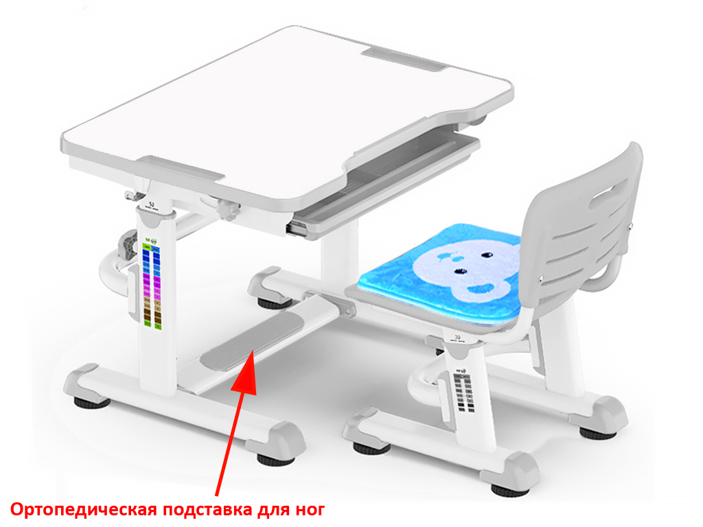 Растущая парта и стул BD-08 Teddy grey белая, серая MEALUX EVO  336174 Белый;серый Santreyd  - Вид №1