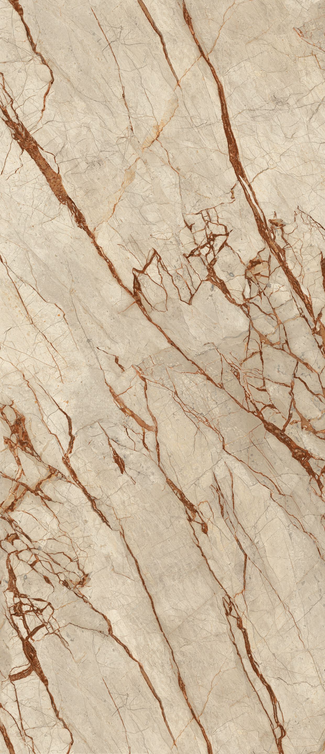 Пол / керамогранит с мраморным эффектом CERAMICA FONDOVALLE Infinito 2.0 ARCH-00001126 - Вид №2