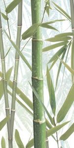 Bamboo 1 DW9BMB104 250х500