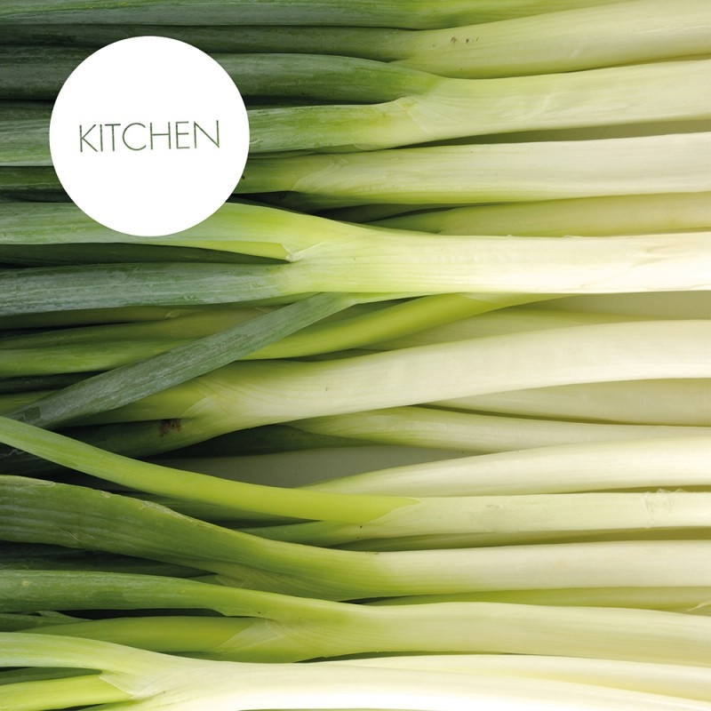 0780/CX38 Картина 0780 Adriani e Rossi  - Вид №1