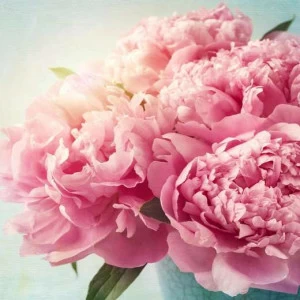 WP00364 Фотообои Verol Фотообои decoline 1х1 м