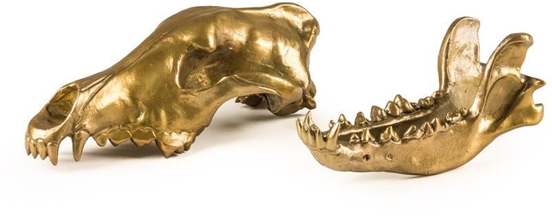 Seletti Алюминиевый декоративный предмет Wunderkammer sun-id-1419385 - Вид №12