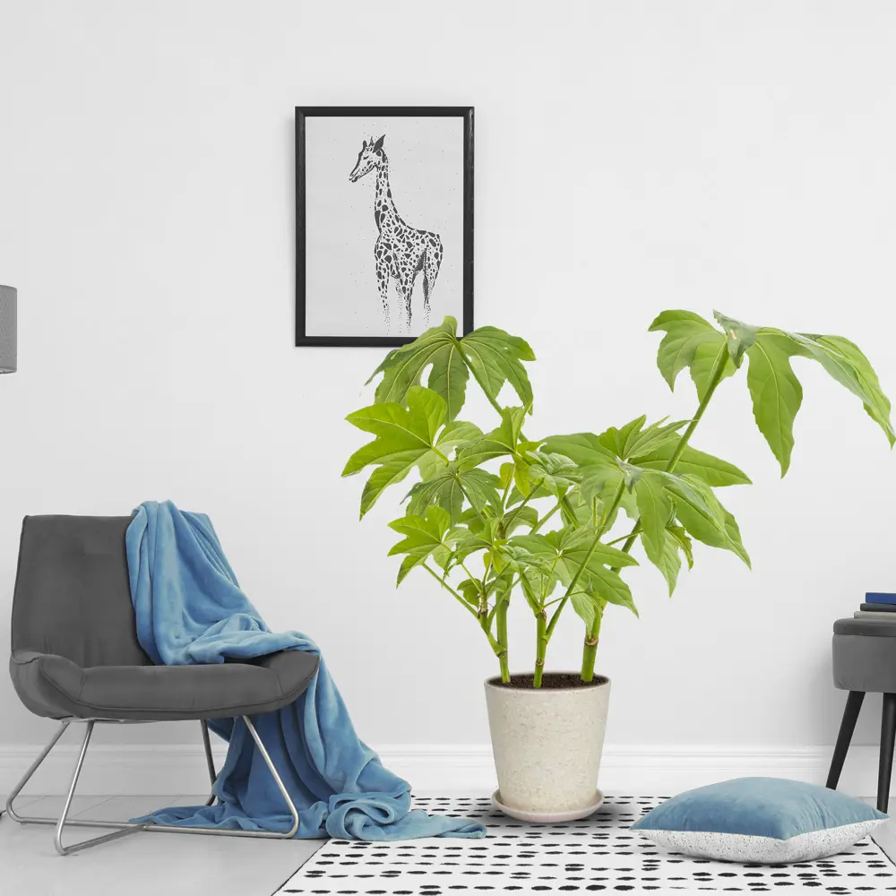 Santreyd Горшок «Бежевый камень» для комнатных растений 83406116 STLM-0041010 - Вид №2