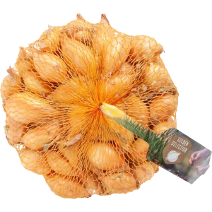 Лук-севок Сеншуй Елоу Глоб 450 г