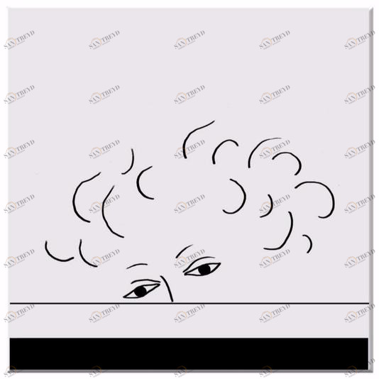 Kiasmo Керамическое покрытие Camera picta 2015kdtcp2