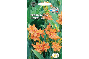 18410425 Семена Беламканда 00000015116 СеДек