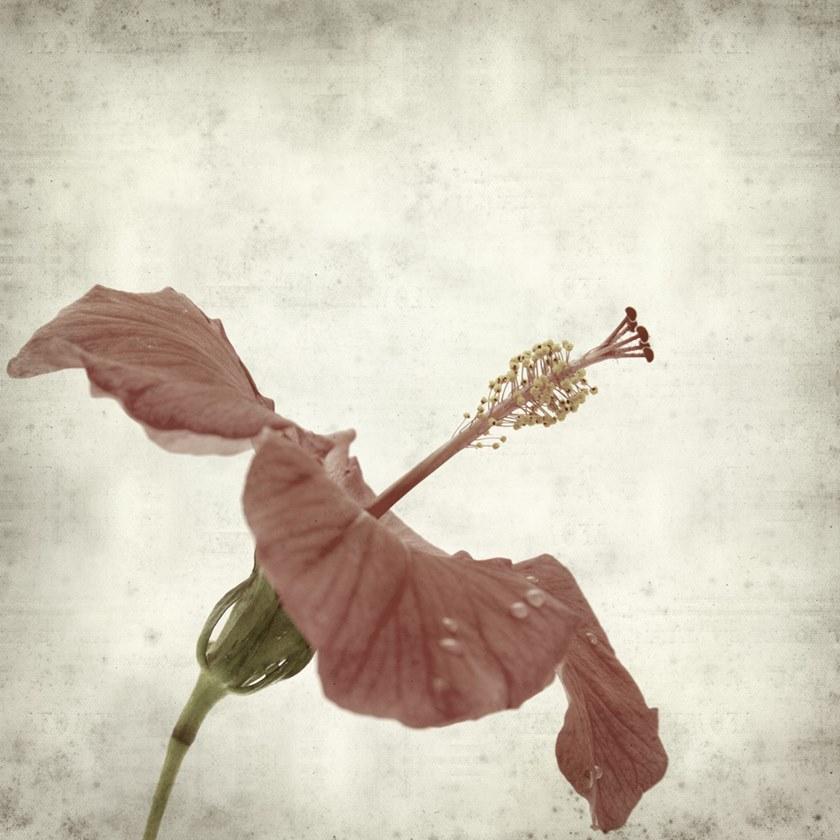 MOMENTI Художественная печать Crazy home paintings 062 - Вид №1