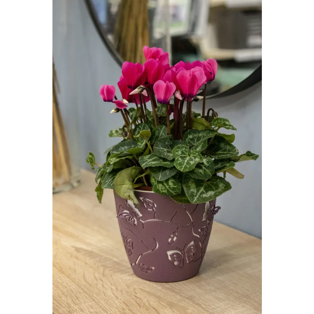 Горшок цветочный Boho ø11.5 h10.5 см v5 л пластик пепельно-розовый 88309669 STLM-2130004 Santreyd - Вид №2