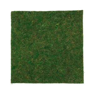 91383368 Мох натуральный листовой 30x30x0.5 см STLM-0831370
