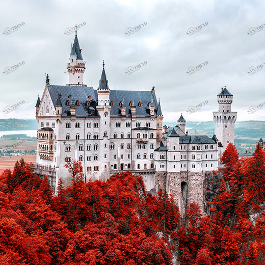 C1-085 Фотообои DIVINO Collection C 2.7х3 м C1085