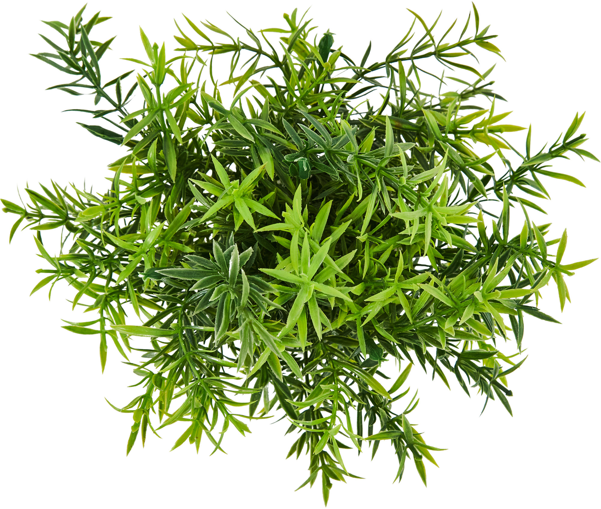 85826010 Искусственное растение Розмарин h22 см STLM-0065532 Santreyd  - Вид №1