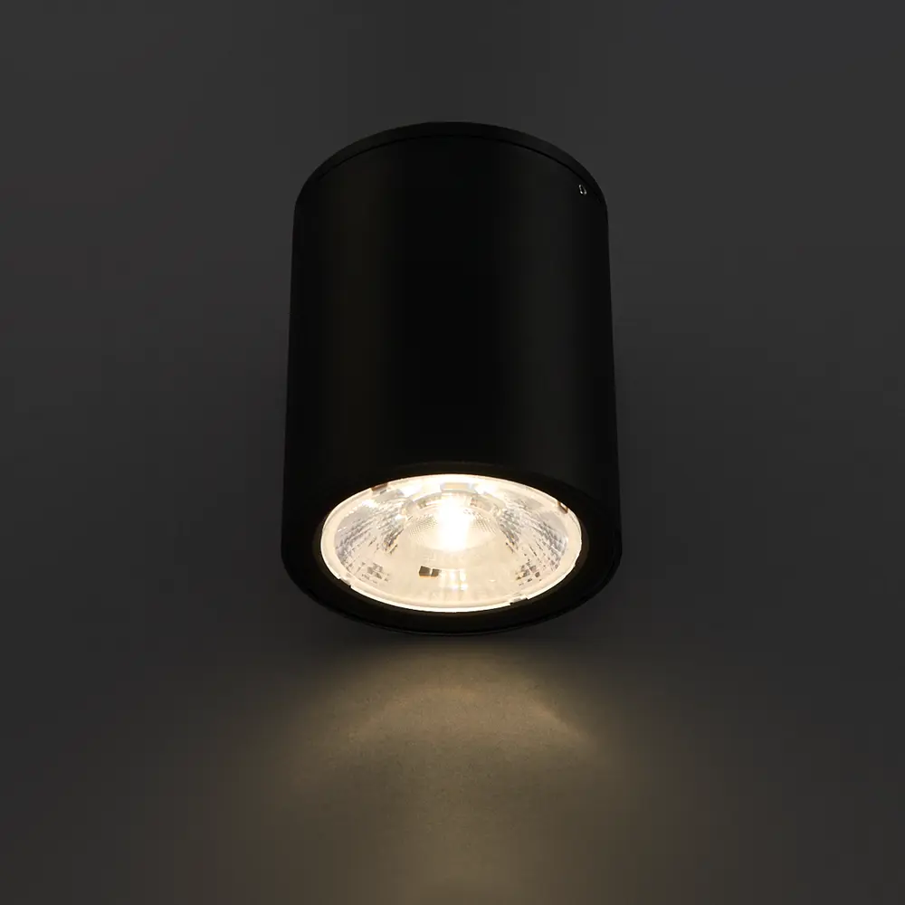 Светильник накладной Light 2103 Led IP65 7W, цвет черный 83960101 STLM-2119711 Elektrostandard  - Вид №1