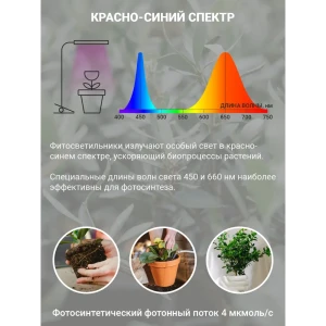 90782002 Фитосветильник светодиодный VKL ELECTRIC 1204826 на прищепке 110 мм 6 Вт красно-синего спектра для рассады, с выключателем STLM-0933926