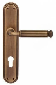 Pasini Ручка из латуни на пластине с накладкой Meteor 3230