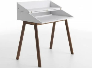 Casamania & Horm Письменный стол из дерева Ray