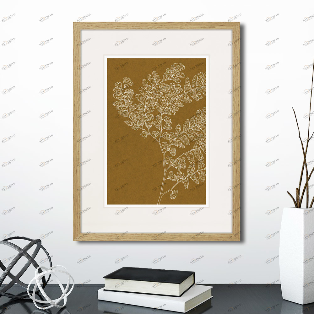 Картина 42х32 см The Fern Collection №16 КАРТИНЫ В КВАРТИРУ  00-3894677 Коричневый 