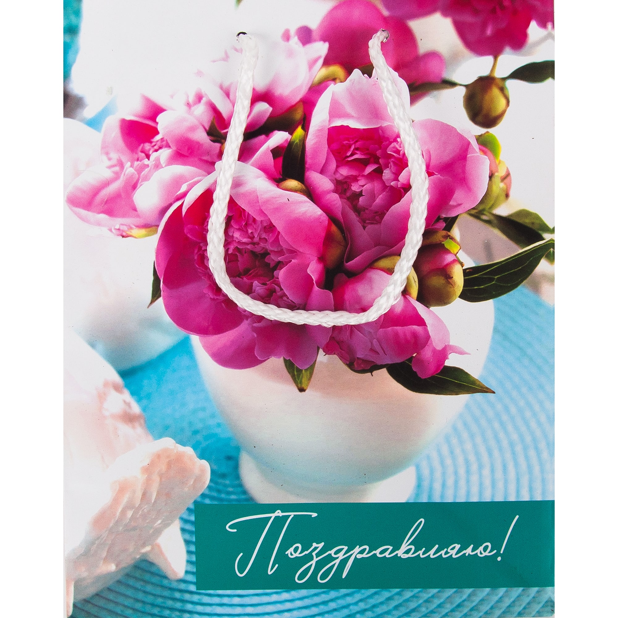 84730453 Пакет подарочный 83566 17x23 см Santreyd  - Вид №1