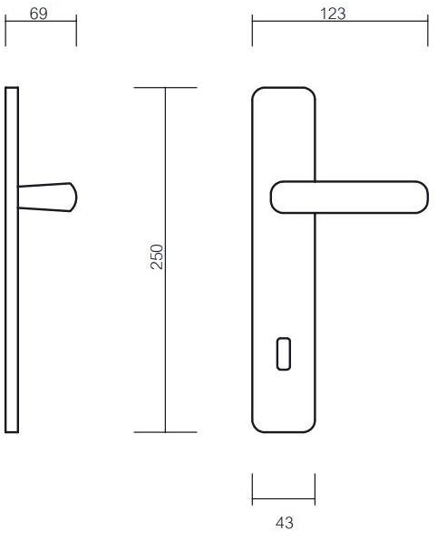 Pasini Ручка из латуни на пластине с накладкой Asia 2970 - Вид №2