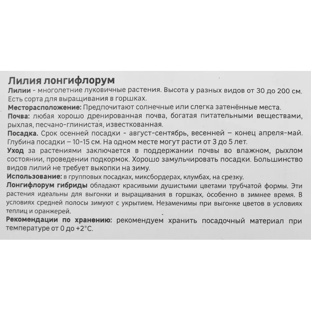 Лилия Geolia Лонгифлорум Делиана 86408643 STLM-2063649  - Вид №3