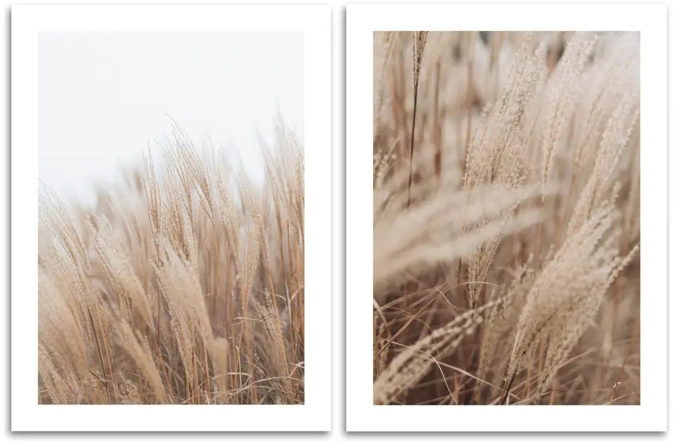 Santreyd: Постер «Сухой тростник» для стильного интерьера, 30x40 см, 2 шт. 87794362