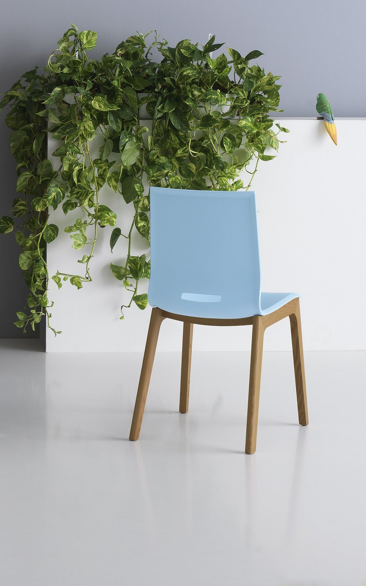 Стул из полипропилена Pointhouse ELENA 5 ARCH-00000761 - Вид №1