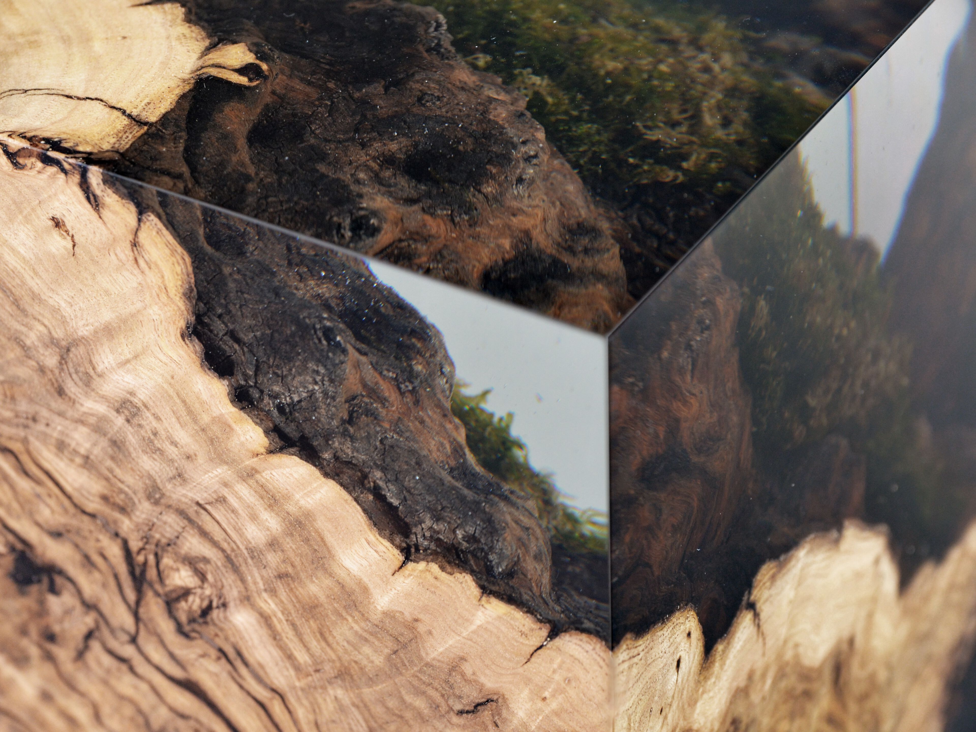 Журнальный столик / табурет из массива дерева и смолы alcarol Undergrowth ARCH-00124526 - Вид №6