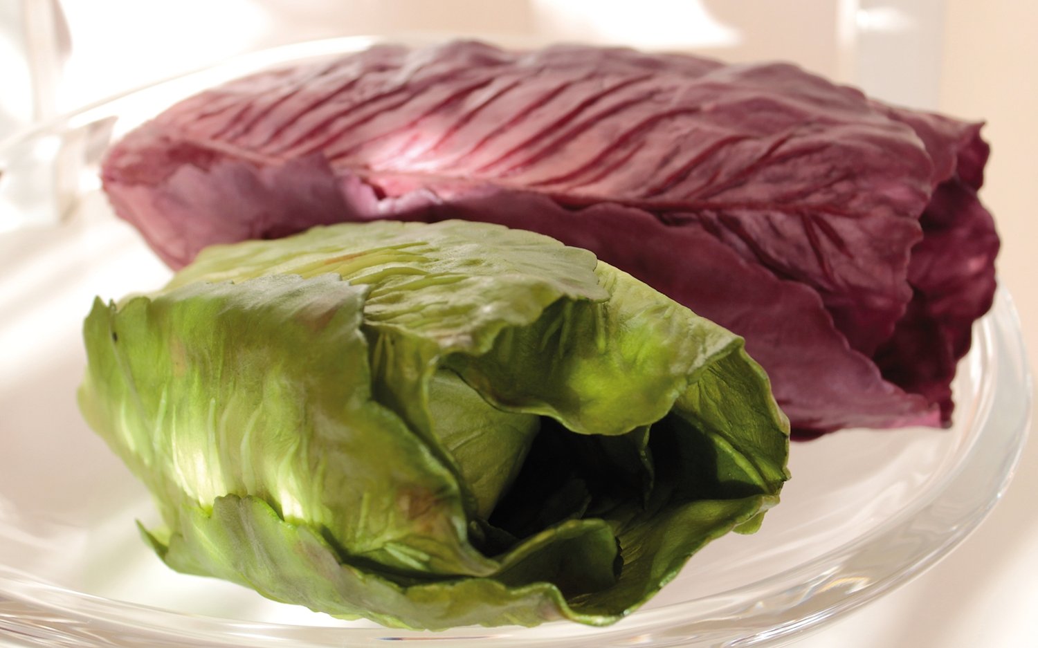 7092 492 a3 Искусственная пекинская капуста, 27 см, бордово-черная H-andreas  - Вид №2