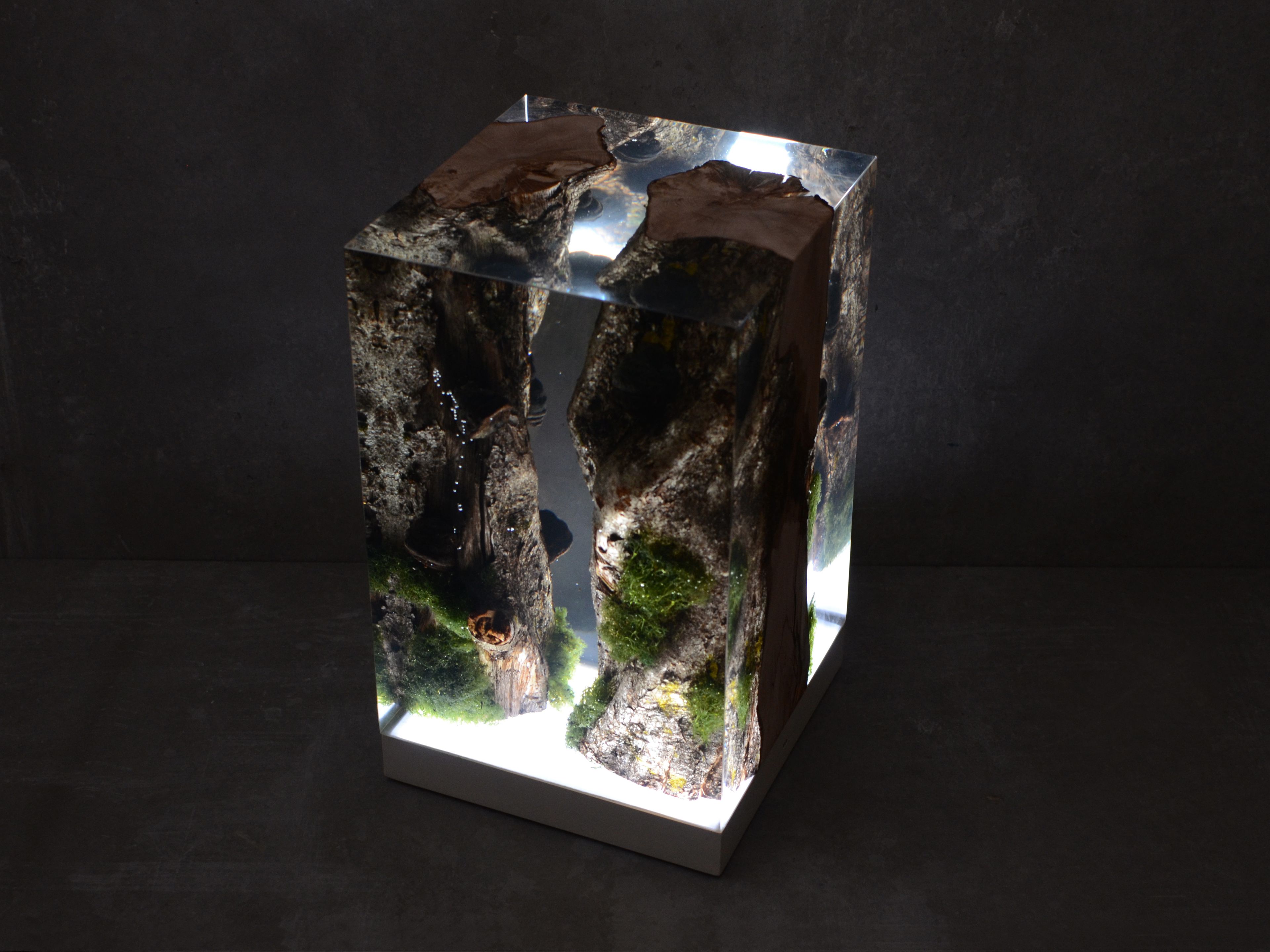 Светодиодная настольная лампа alcarol Подлесок ARCH-00036620 - Вид №7