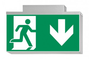 DST-779 Lisu ceiling-mounted Daisalux Светильники аварийные Серебристо-Серый