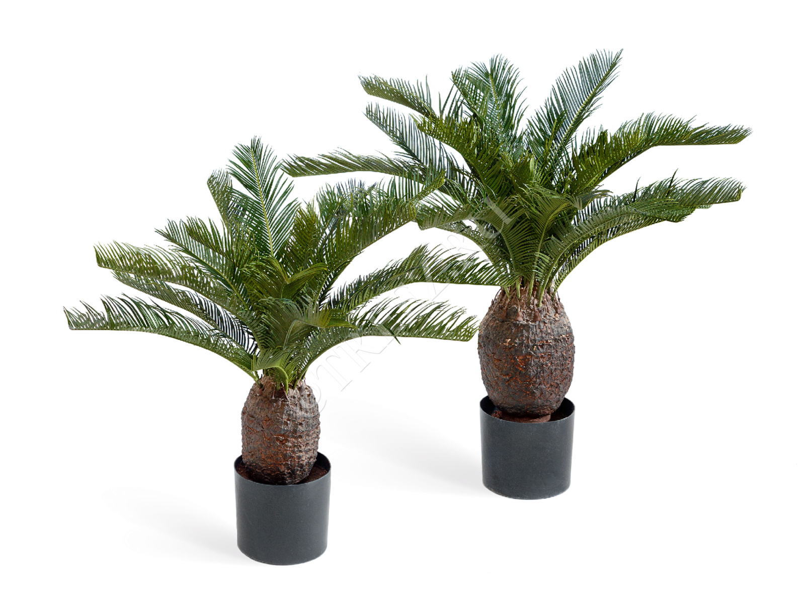 10.1525N Пальма Цикас 65 и 70 см Цветочная коллекция 