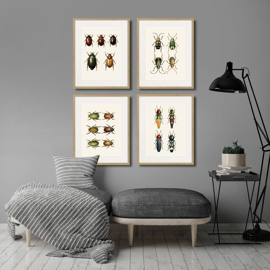 Картина: Assorted Beetles №8, 1735г. КАРТИНЫ В КВАРТИРУ  264415 Разноцветный  - Вид №2