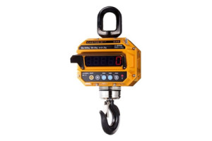 16382290 Крановые весы 10 THD с крюком TWN-B, Plus, ton 3 88-00002789 CAS