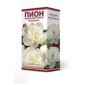 Пион молочноцветковый Иммакуле 2/3 89381544 STLM-2133104