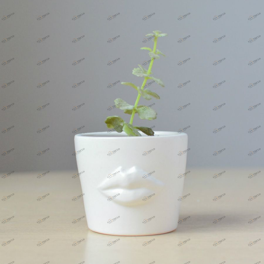 Набор для выращивания Eco мини-кашпо «Губы» ЭКОЧЕЛОВЕКИ MIN101