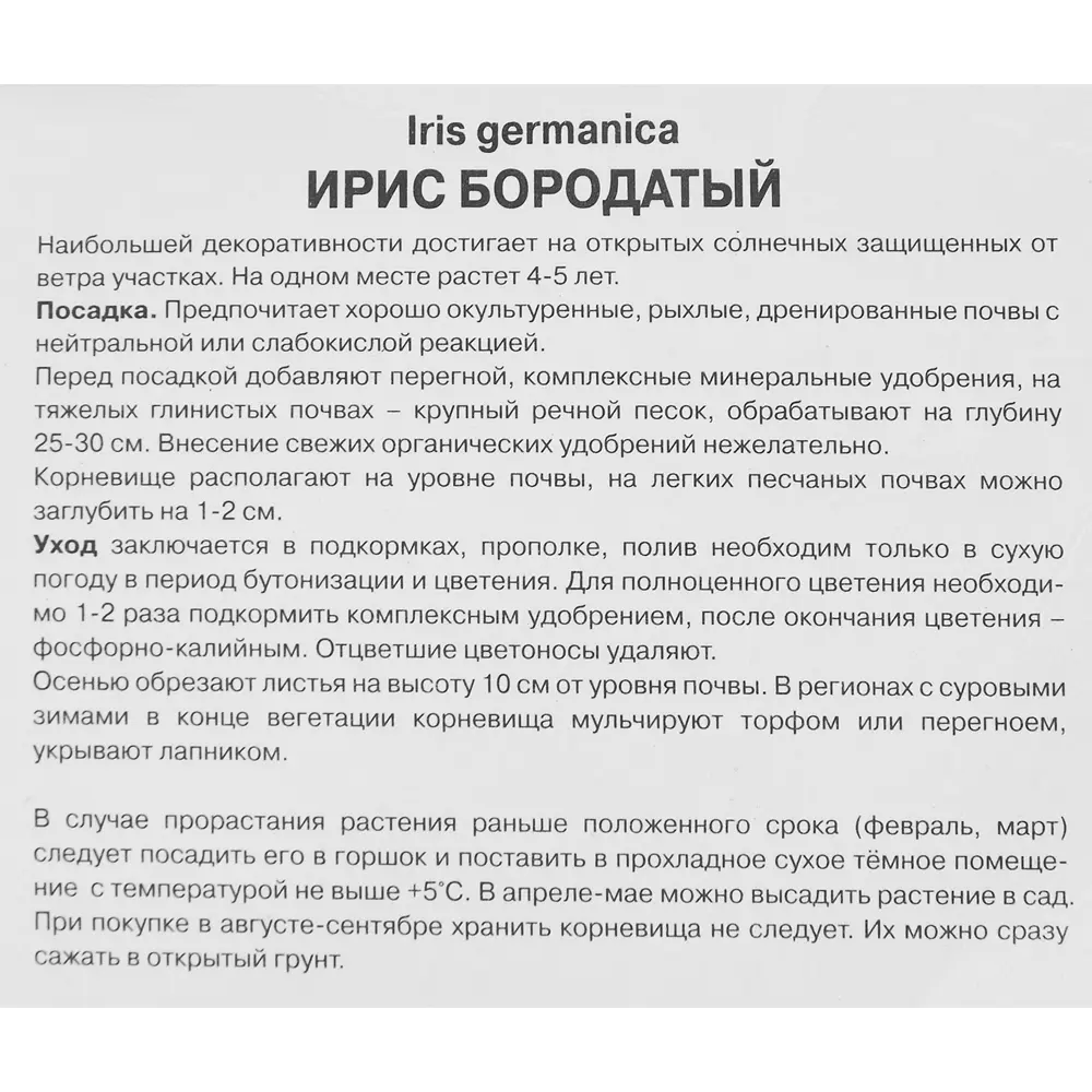 Ирис бородатый Принц Ов Бургунди ПОИСК STLM-2092356 - Вид №2