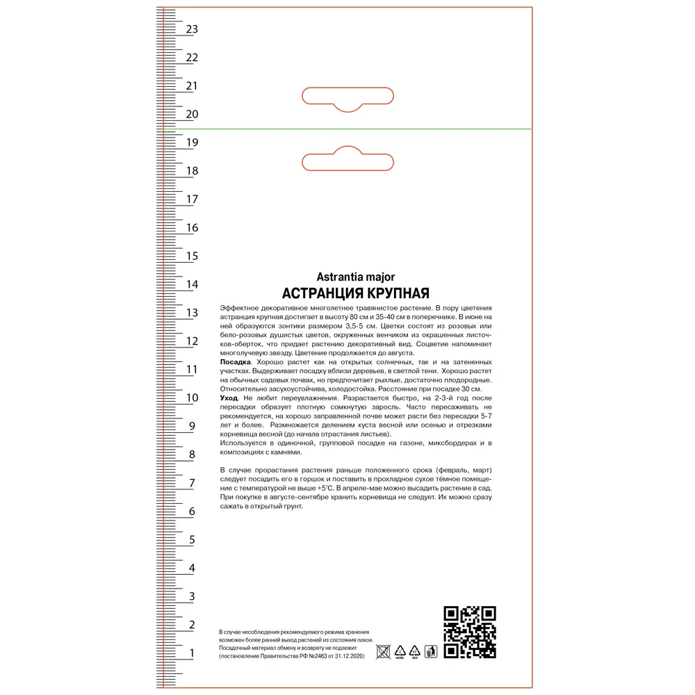 Астранция крупная Венеция 89452200 STLM-2098702 ПОИСК 