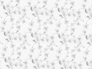 COLORISTICA 2488-62 Портьерная ткань  Тюль  LaManche