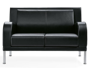 2-местный кожаный диван