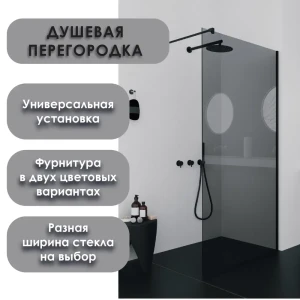 91840364 Душевая перегородка H.a.g HAG grey 700 BLC 70x195см черный профиль STLM-1523291